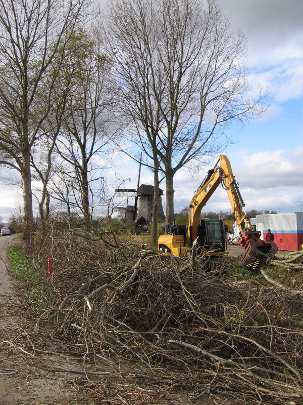Het herstellen van de molenbiotoop bij de strijkmolens bij Rustenburg