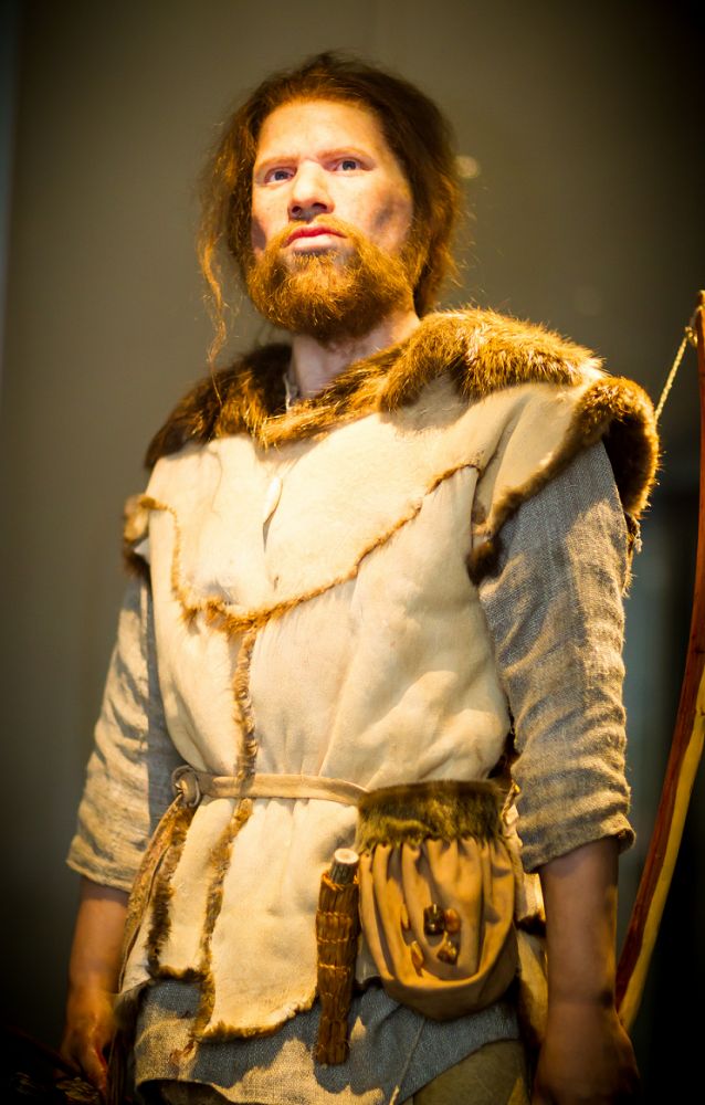 Reconstructie van 'Cees' de steentijdman. Foto: Provincie Noord-Holland.