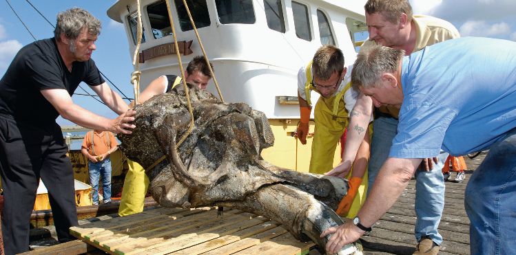 Impressie van mammoetjacht op een viskotter.