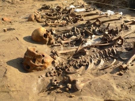 Massagraf Paardenmarkt.