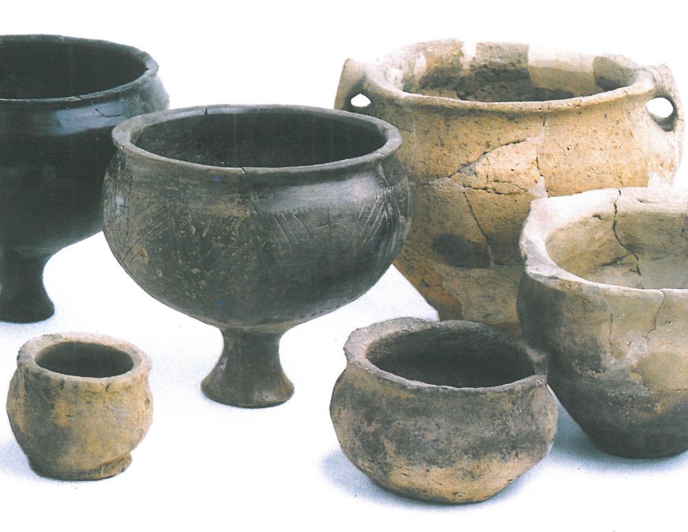 Den Burg, Beatrixlaan