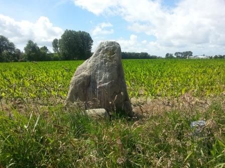 De steen van Westerklief.
