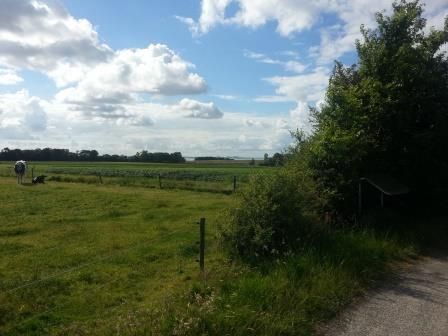 Aardkundig monument Wieringen.