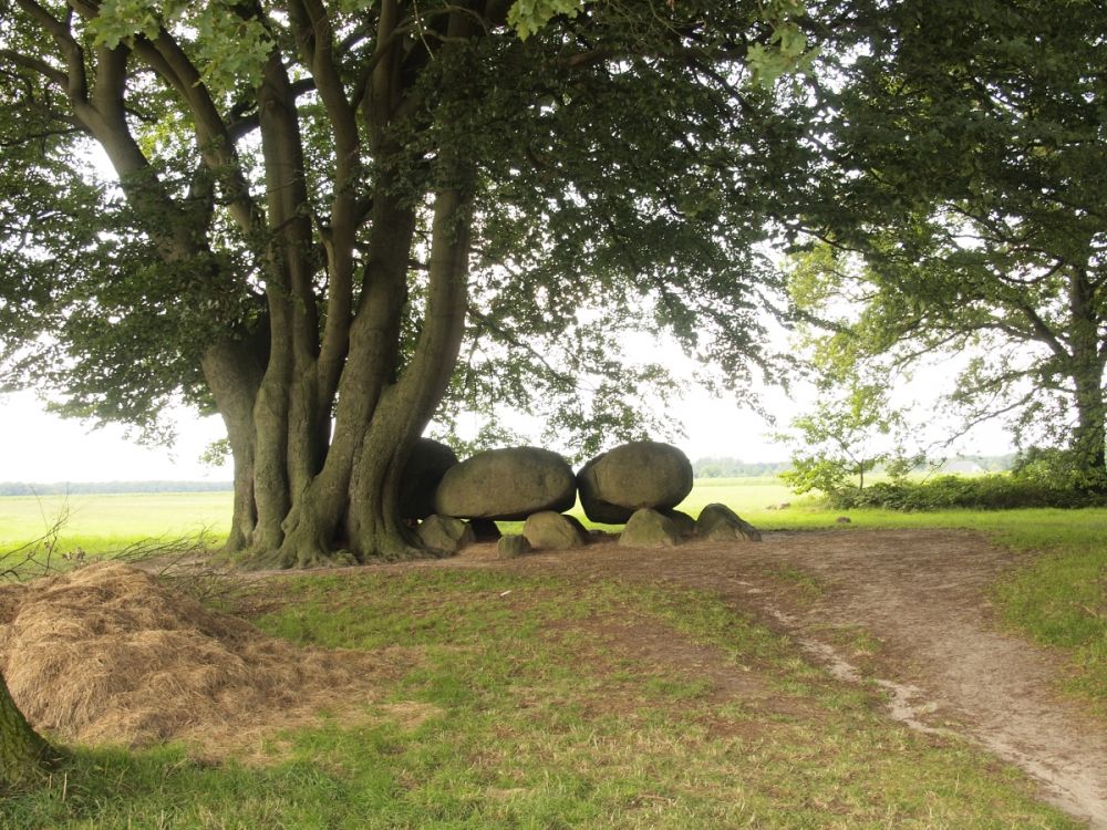 Hunebed nabij het hunebedcentrum Borger.