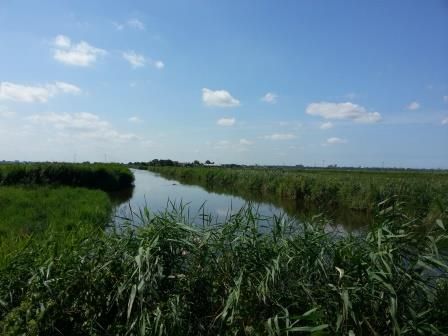 Holysloot, Goudriaankanaal.