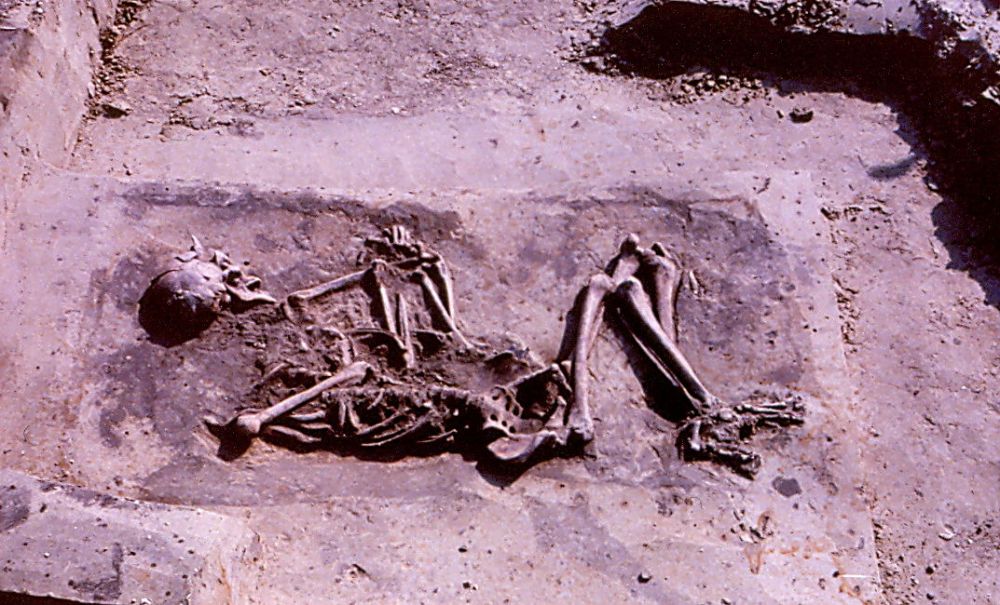 Grafheuvels Oostwoud.