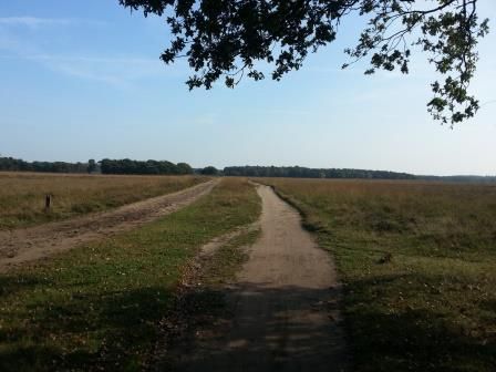 Doodweg van Bussum naar Laren.