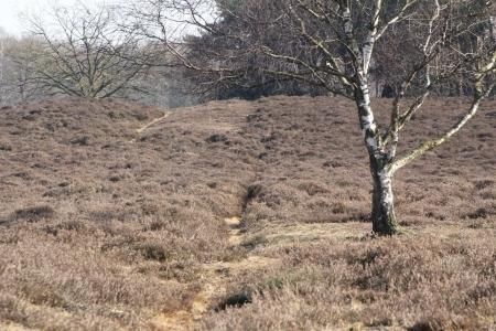 Banscheiding tussen Hilversum en Laren.