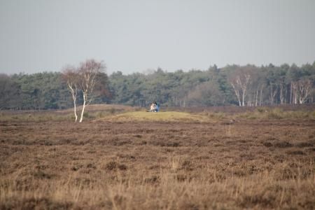 Grafheuvels bij de Aardjesberg.