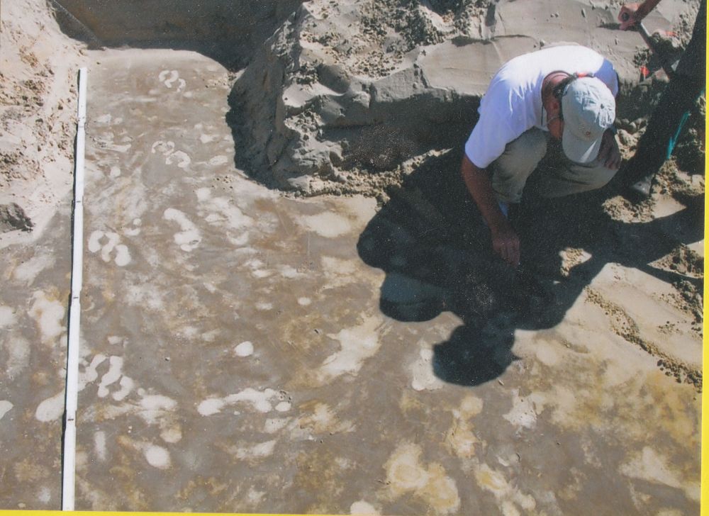Een overzicht van de bouwput met de verschillende voet en hoef afdrukken.