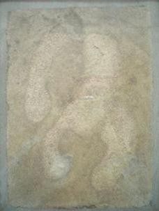 De geconserveerde hoefafdruk