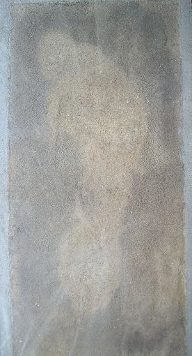 De geconserveerde voetstap