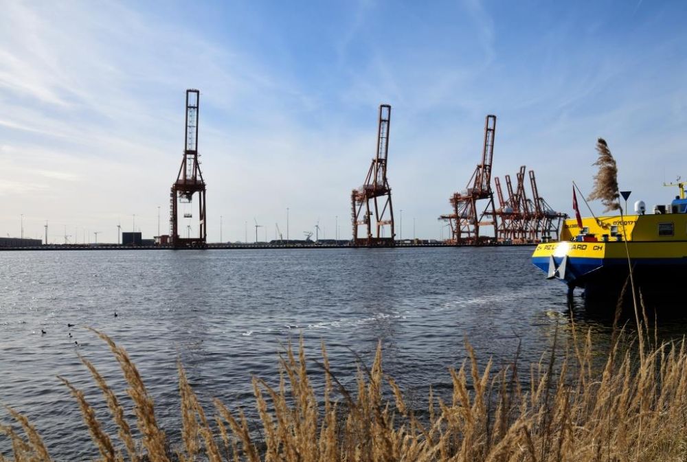 De kranen in het Amsterdamse westelijk havengebied