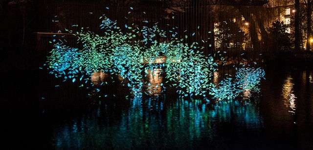 Amsterdam Light Festival 2014 - 2015