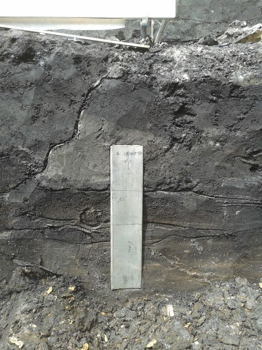 De Pollenbak in de oudste dijklagen. Van boven naar beneden: S1, S2 en S1000. Beeld: Vestigia.