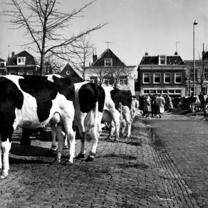 Purmerender Veemarkt