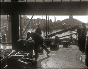Hoe de vissersplaats IJmuiden ontstond