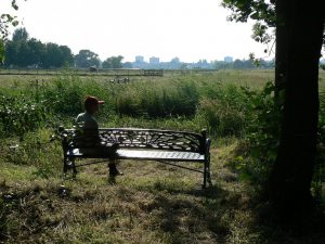 Buitenplaats Wester-Amstel: Stukje paradijs aan de Amstel