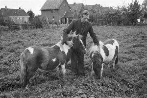 Stemt vrij: de Boerenpartij
