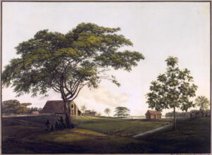 Atlantische slavernij in beeld