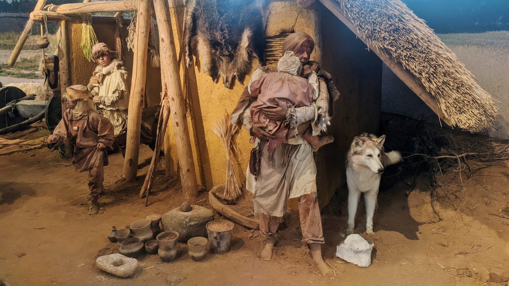 Steentijd: de eerste boeren in Noord-Holland - ONH