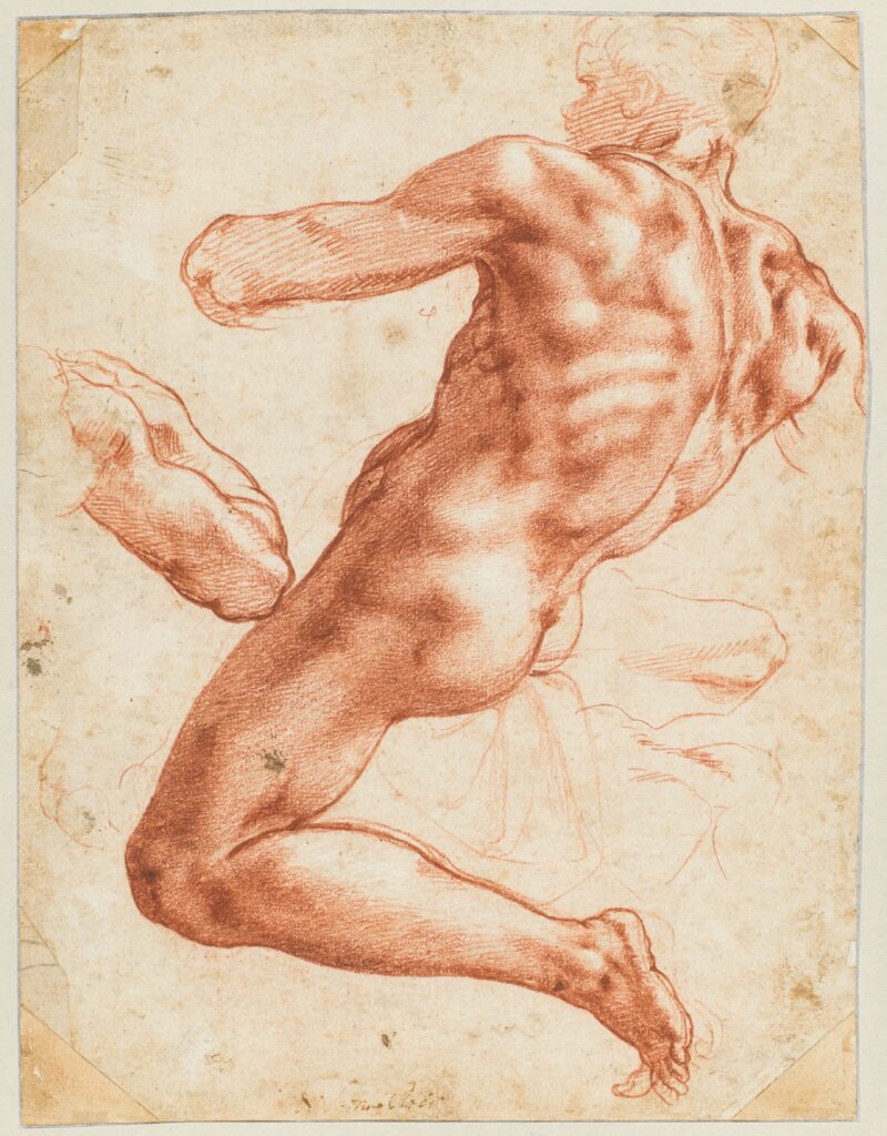 ‘De mannen van Michelangelo’ in Teylers Museum