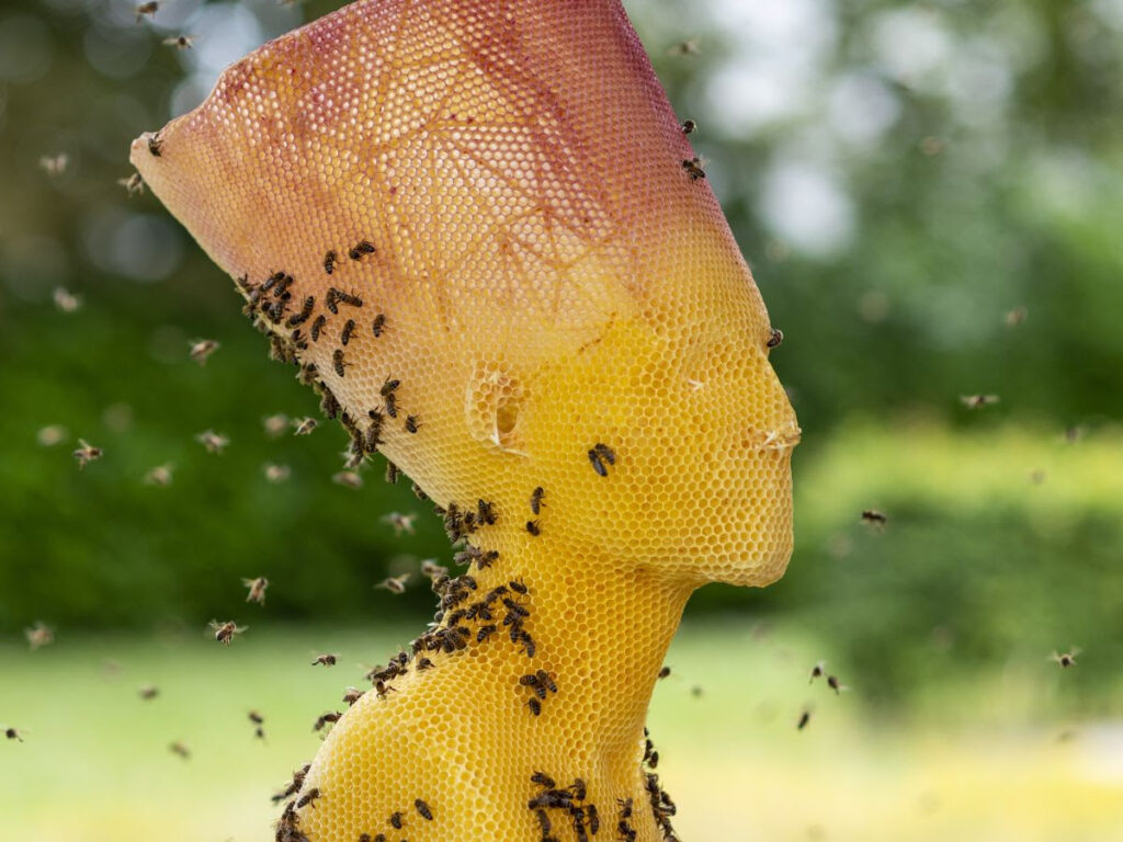 Tomáš Libertíny – For Eternity