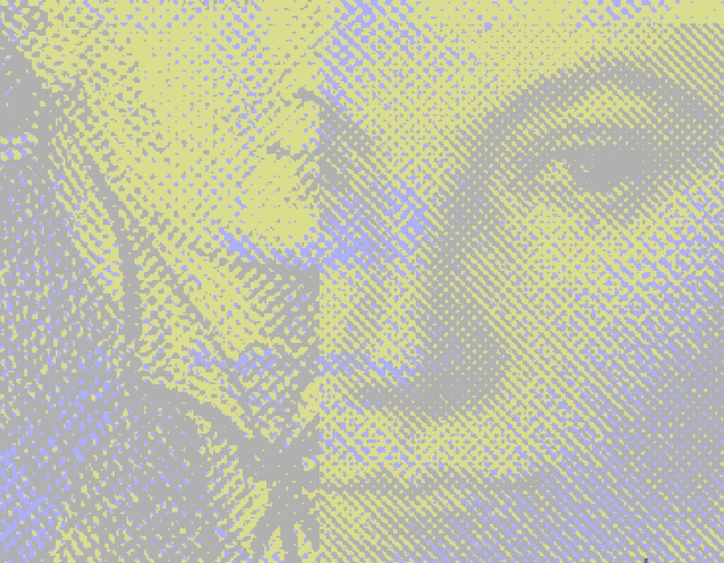 De Vele Gezichten van Katharina