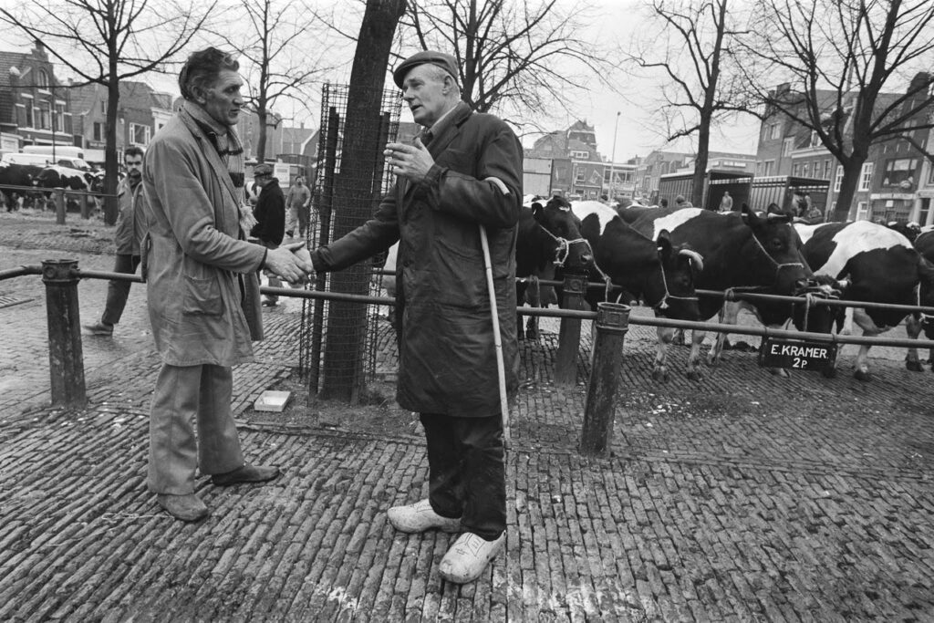 Tentoonstelling: veemarkt Purmerend door de jaren heen