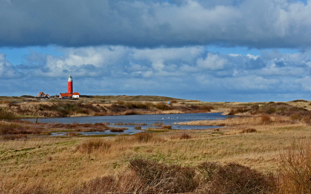 Lezingenserie ‘De vier elementen’ bij Ecomare