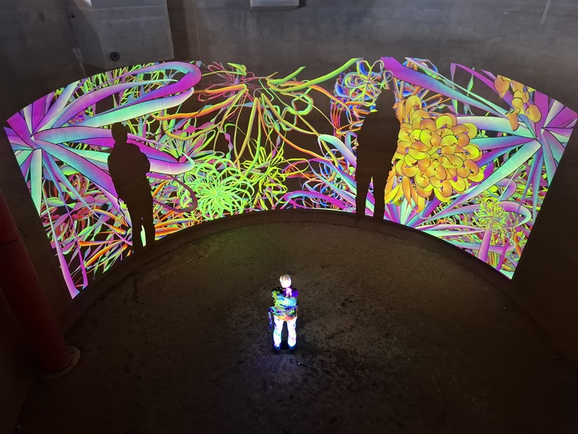 Tentoonstelling Flower Power brengt kunst en licht naar Aalsmeerse watertoren