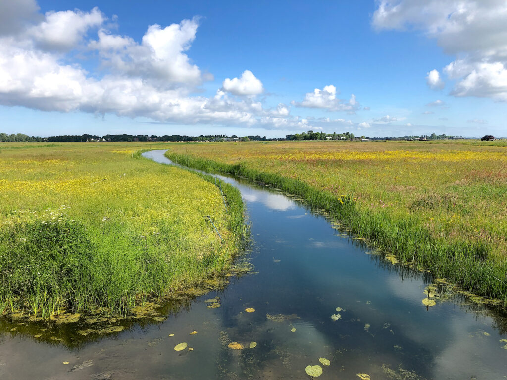 Stichting Oer-IJ brengt gebiedsplan uit voor toekomst van het Oer-IJ gebied