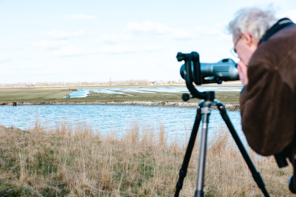 Weidevogels spotten bij Krommeniedijk