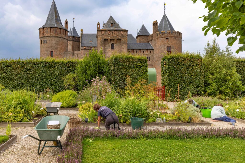 Eeuwenoude tuinwijsheid springlevend in de kasteeltuinen van het Muiderslot