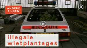 Andere Tijden: Illegale wietplantages in Nederland