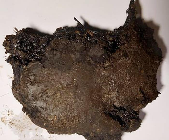 Vondst op vrijdag: Een plakje Hoornvaarderssteeg