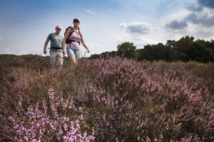 Het Noord-Hollandpad: wandelen van Texel naar het Gooi