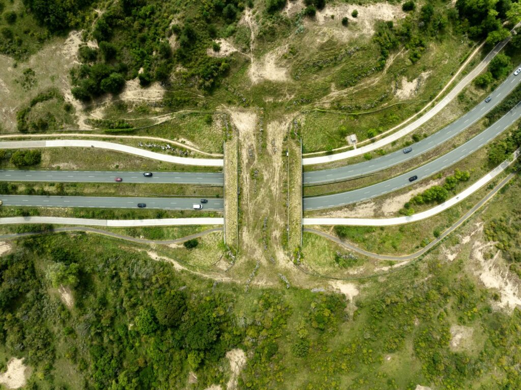 Stacii Samidin brengt kwetsbare balans tussen mens en natuur in beeld in De Gang