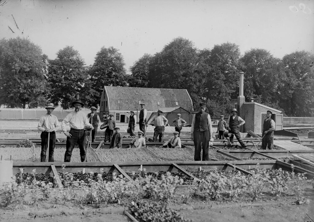 Fotomiddagen bij Museum Sow to Grow