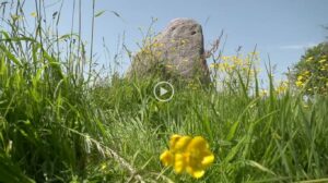 Mythe over de steen van Westerklief