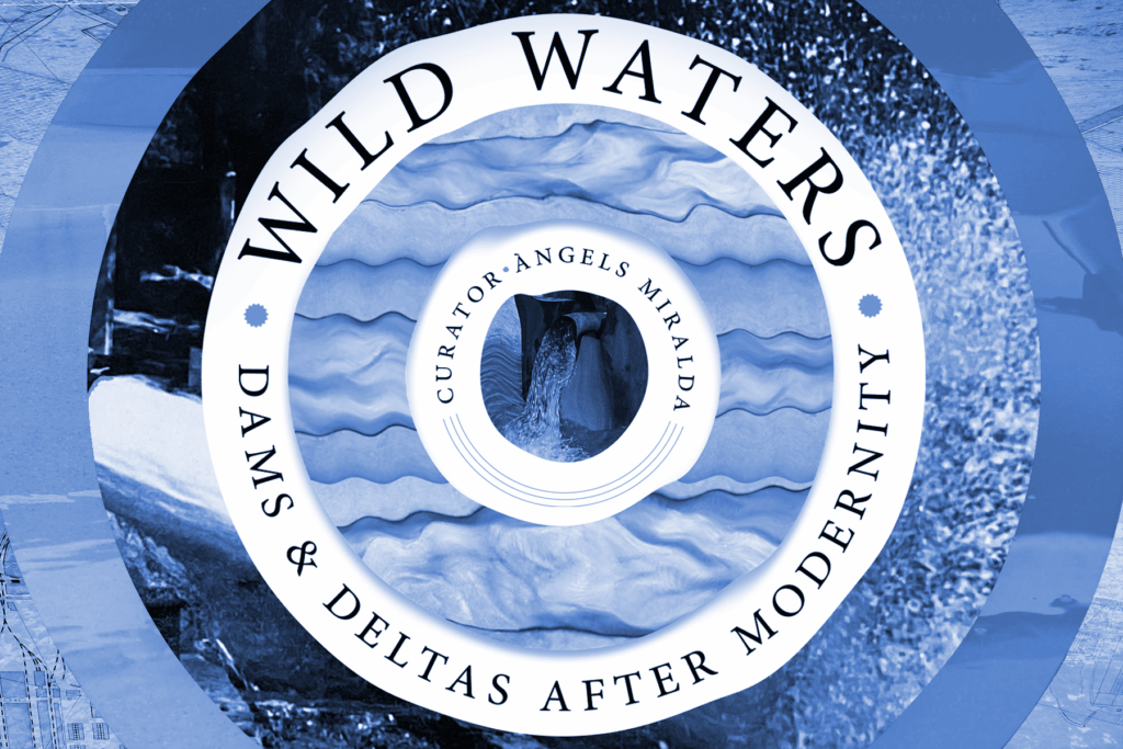 Wild Waters: Dammen en delta’s na het modernisme