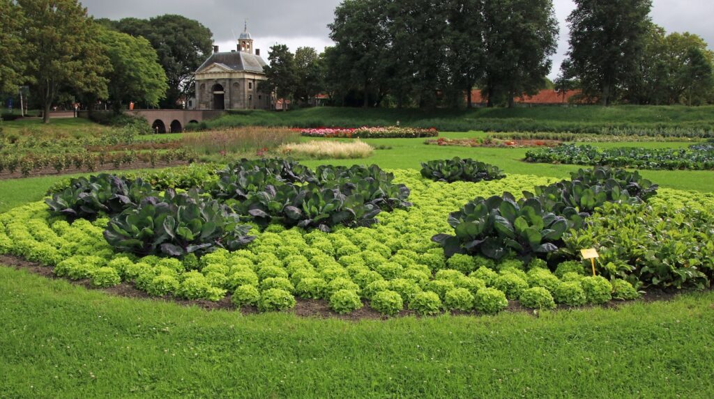 Proef & ontdek de Garden op zaterdag 1 augustus
