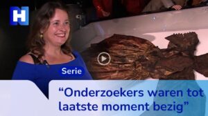 De Geheimen van het Palmhoutwrak: Schip vol Raadsels