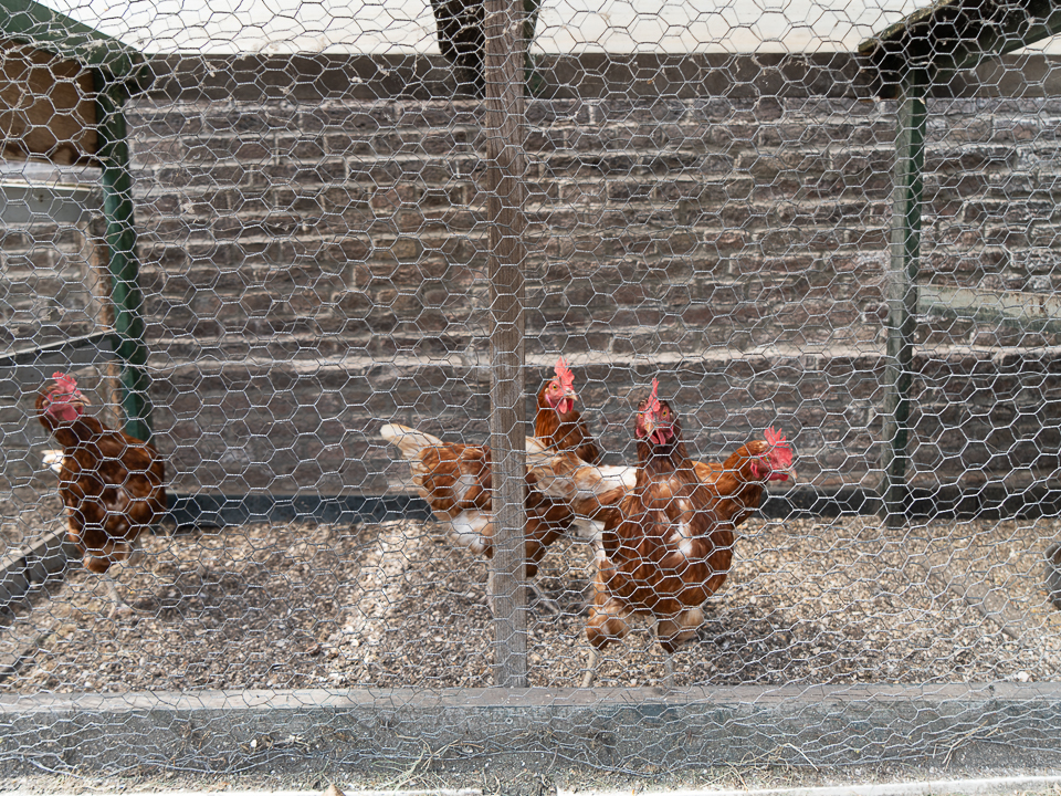 stolpboerderij aan Edammerpad te Volendam