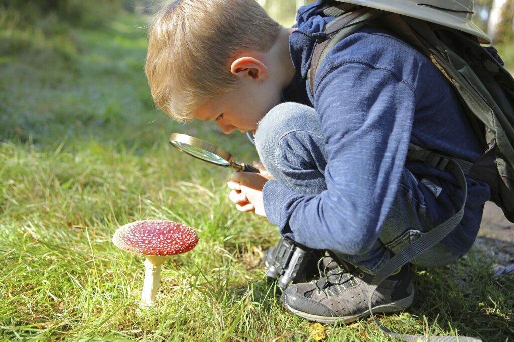 Lekker naar buiten tijdens de herfstvakantie!