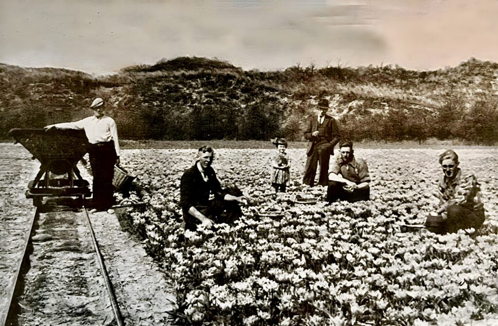 Spitten in het landschap
