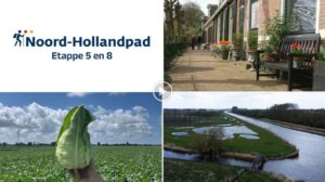 De Westfriese Omringdijk en karakteristiek Kolhorn: Ontdek wandeletappe 5 en 8 van het Noord-Hollandpad