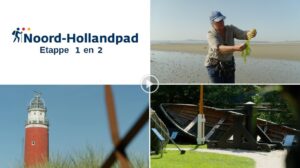 Zeelucht, schapen en historie op Texel: Ontdek wandeletappe 1 en 2 van het Noord-Hollandpad