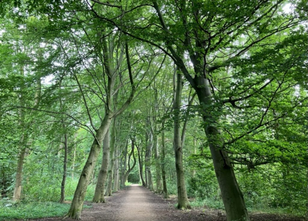 Wandeling in het Oer-IJ gebied,