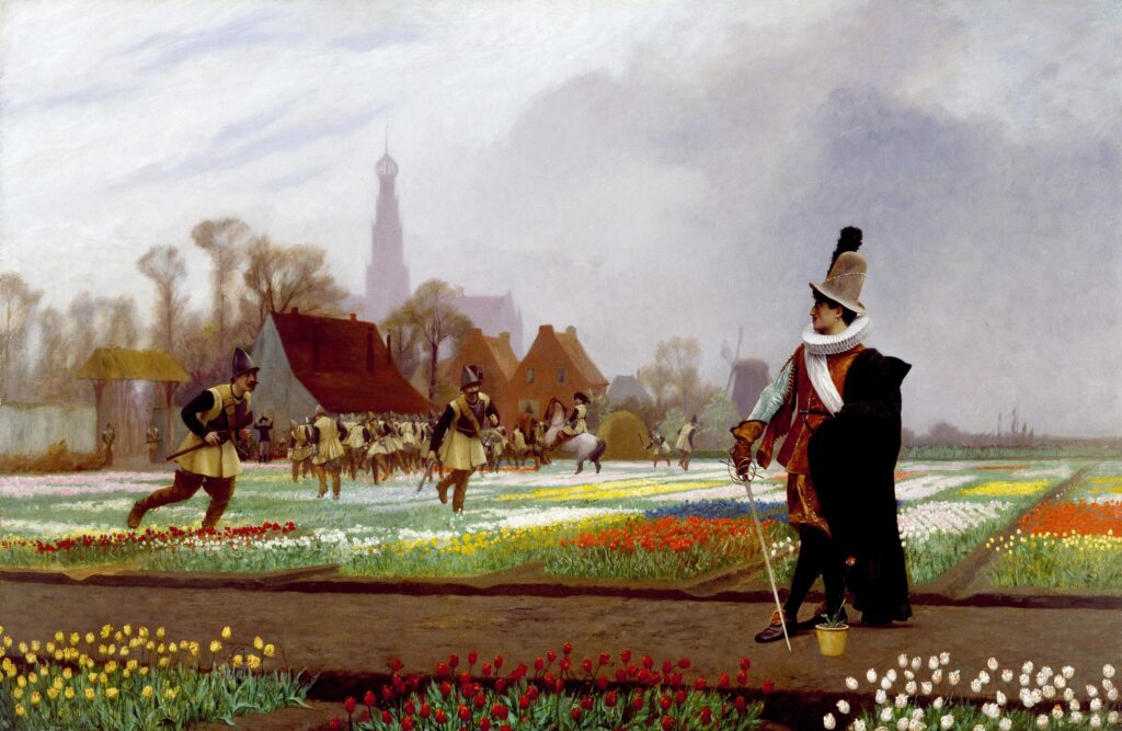 Vijf eendagsvliegen uit Noord-Holland